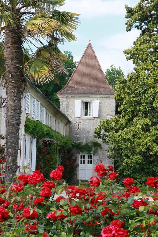 Chateau De Puyrigaud Bed & Breakfast Leoville Exterior photo